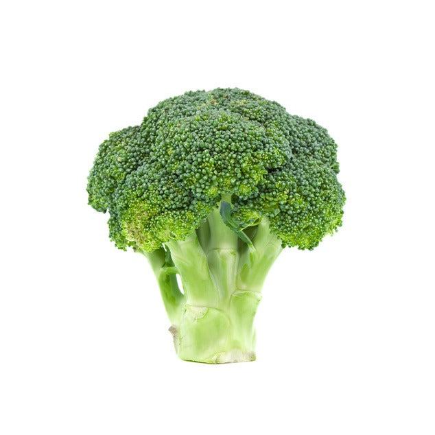 Broccoli - بروكلي