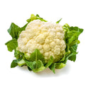 Cauliflower - زهراء