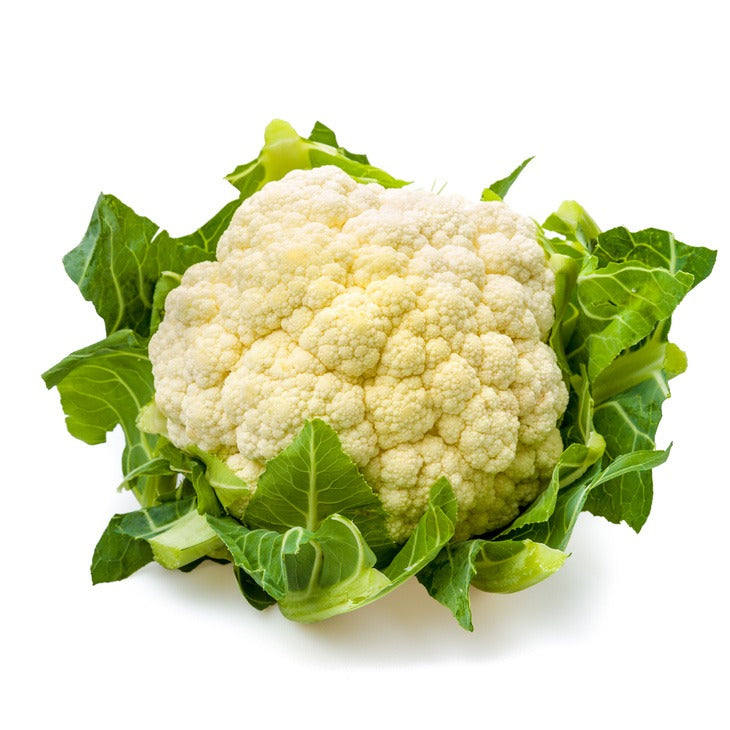 Cauliflower - زهراء