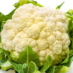 Cauliflower - زهراء