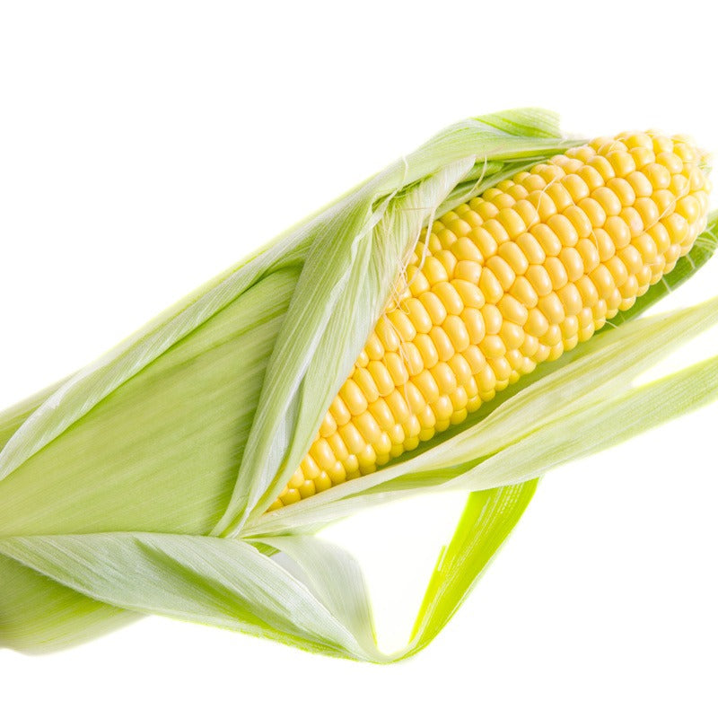 Corn - ذره صفراء
