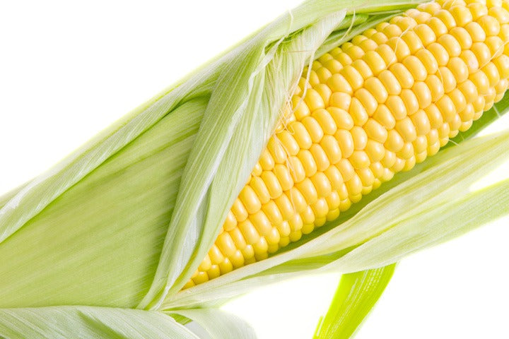 Corn - ذره صفراء