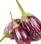 Eggplant Makdous - باذنجان مكدوس