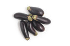 Mini Black Eggplant - باذنجان أسود صغير