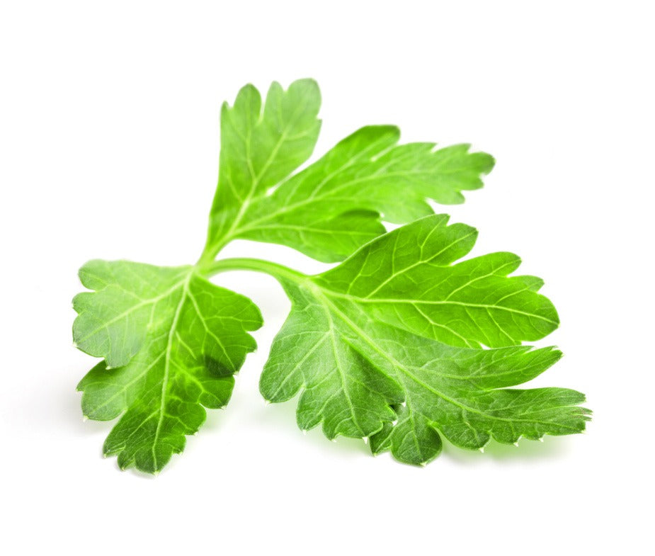 Parsley - بقدونس