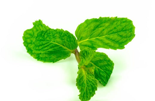 Peppermint - نعناع