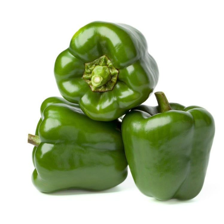 Sweet Pepper (Green) - فلفل حلو