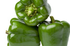 Sweet Pepper (Green) - فلفل حلو