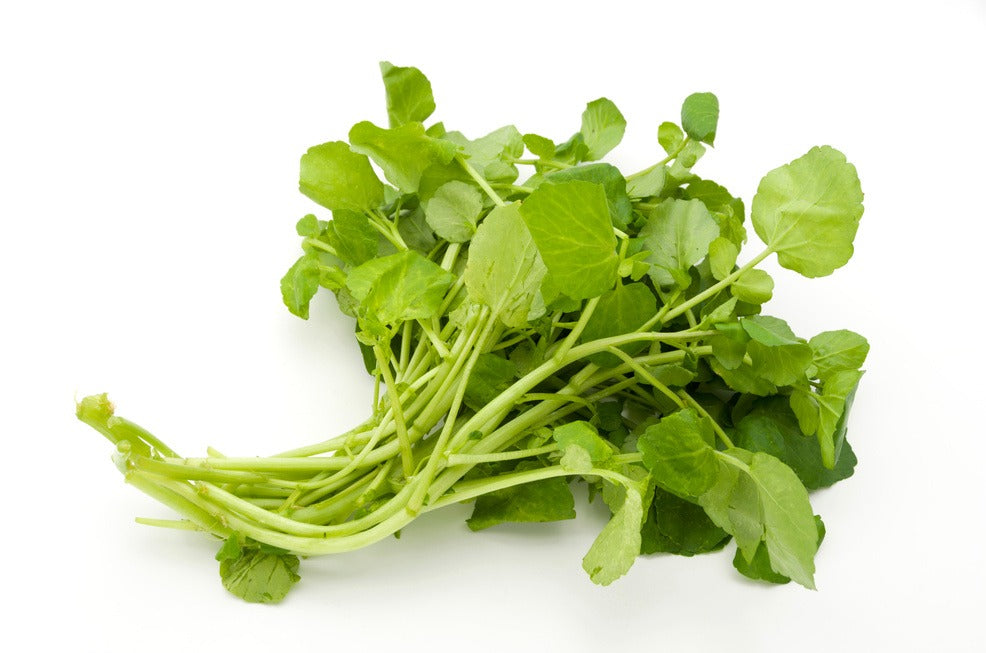 Watercress - جرجير
