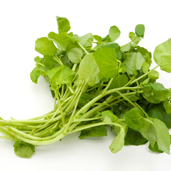 Watercress - جرجير
